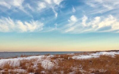 Your Year-Round Guide to Virginia Beach Fun (Because the Beach Isn’t Just for Summer)